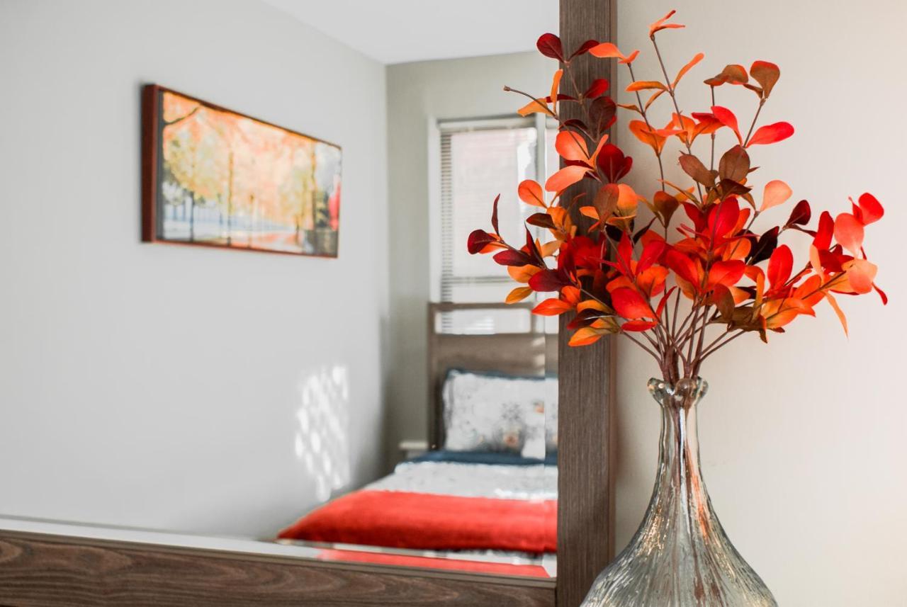 Lovely 2Br Apartment By Wooster Square- Great Neighborhood 뉴헤이번 외부 사진