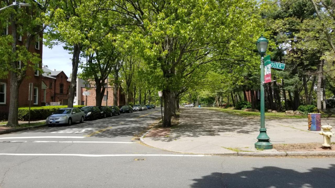 Lovely 2Br Apartment By Wooster Square- Great Neighborhood 뉴헤이번 외부 사진